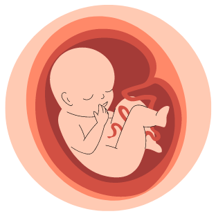 Wsparcie płodności